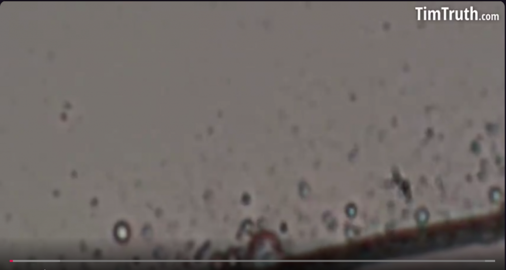 An analysis of an informational article on erik schrody 04 picture